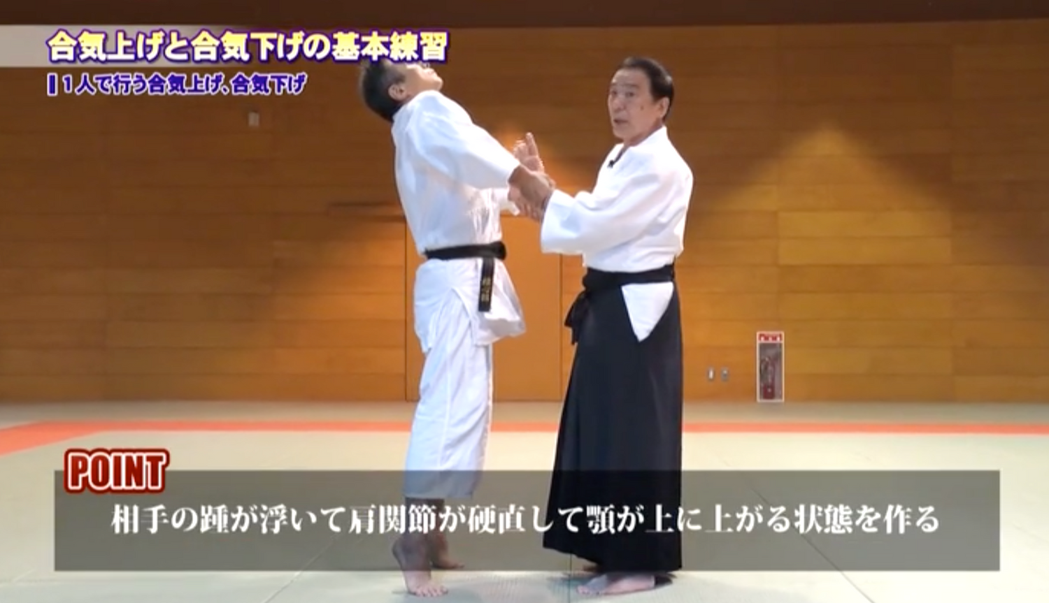 The Secret of Daito Ryu Aikijujutsu 2 DVD Set by Masayuki Amano (Preowned)