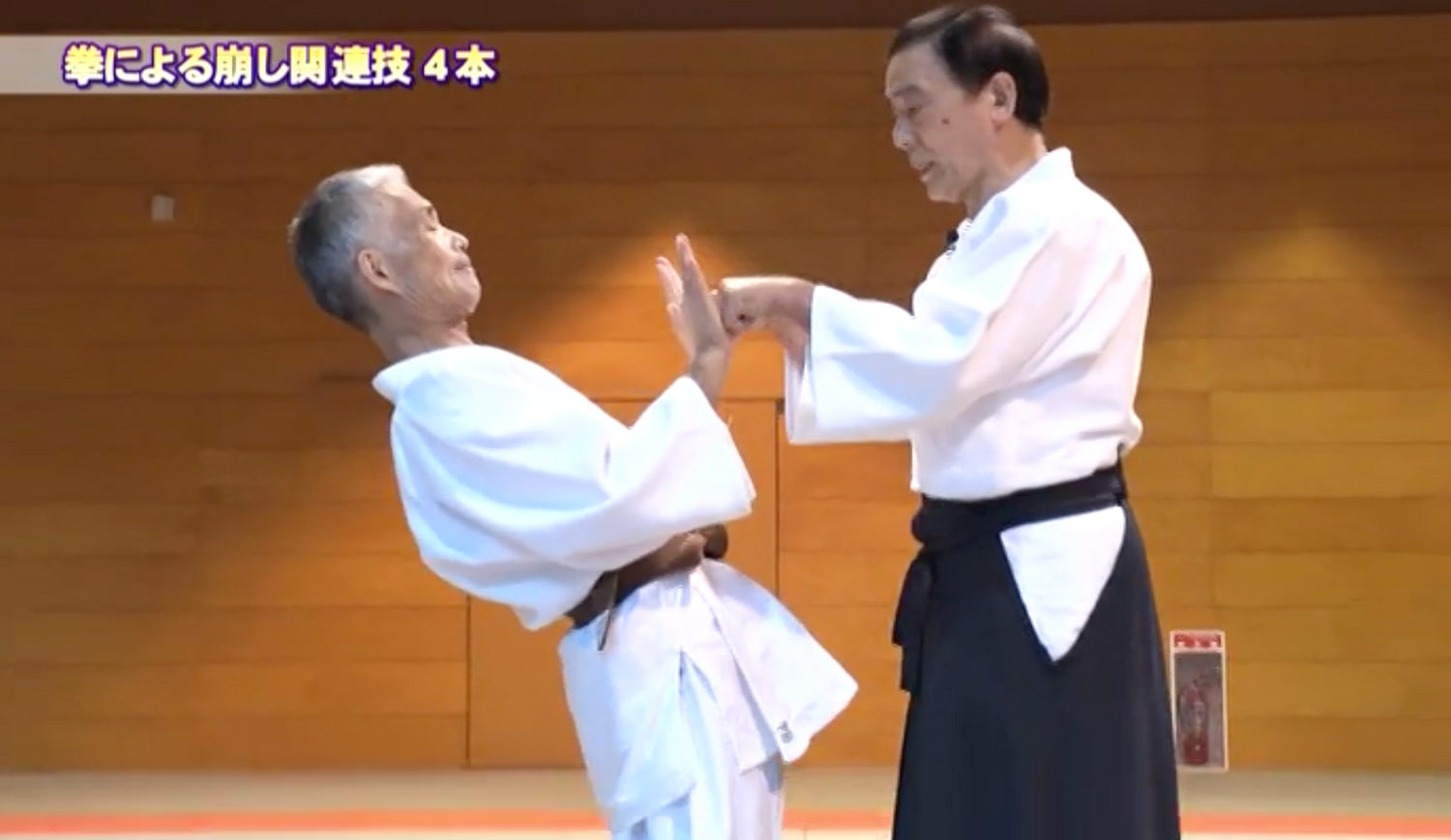 The Secret of Daito Ryu Aikijujutsu 2 DVD Set by Masayuki Amano (Preowned)