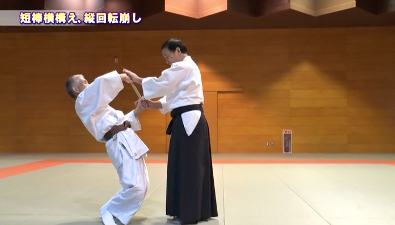 The Secret of Daito Ryu Aikijujutsu 2 DVD Set by Masayuki Amano (Preowned)