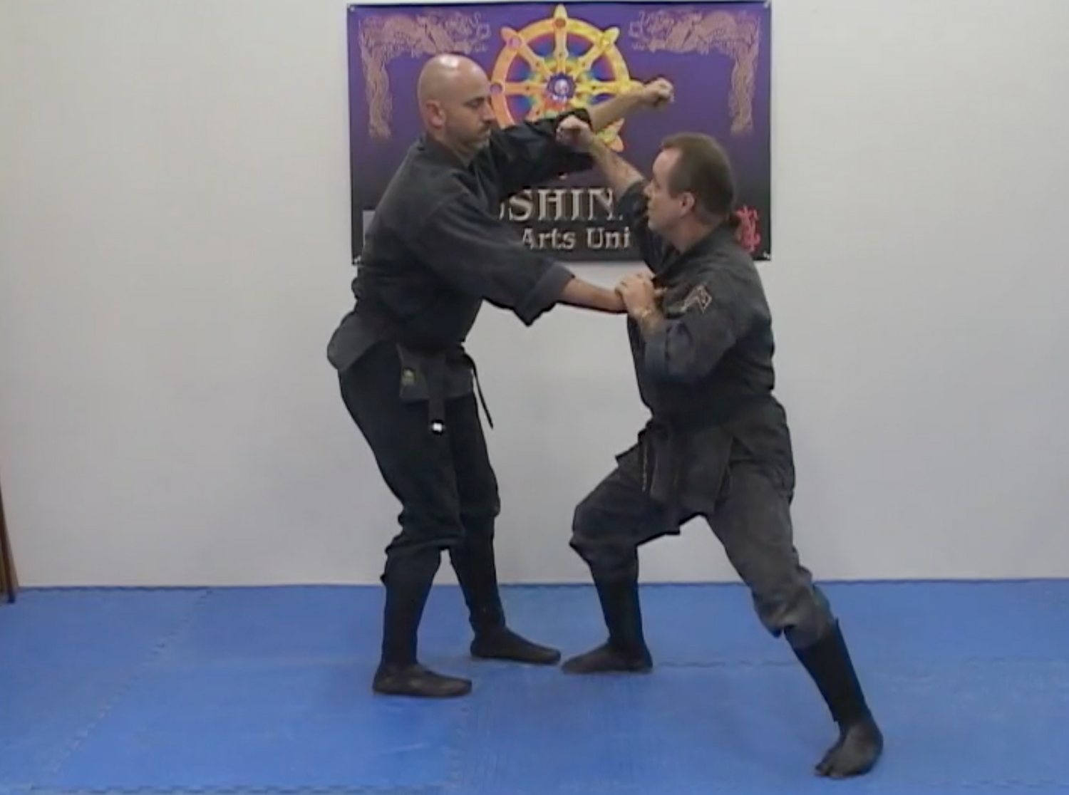 Kihon Happo DVD by Richard Van Donk