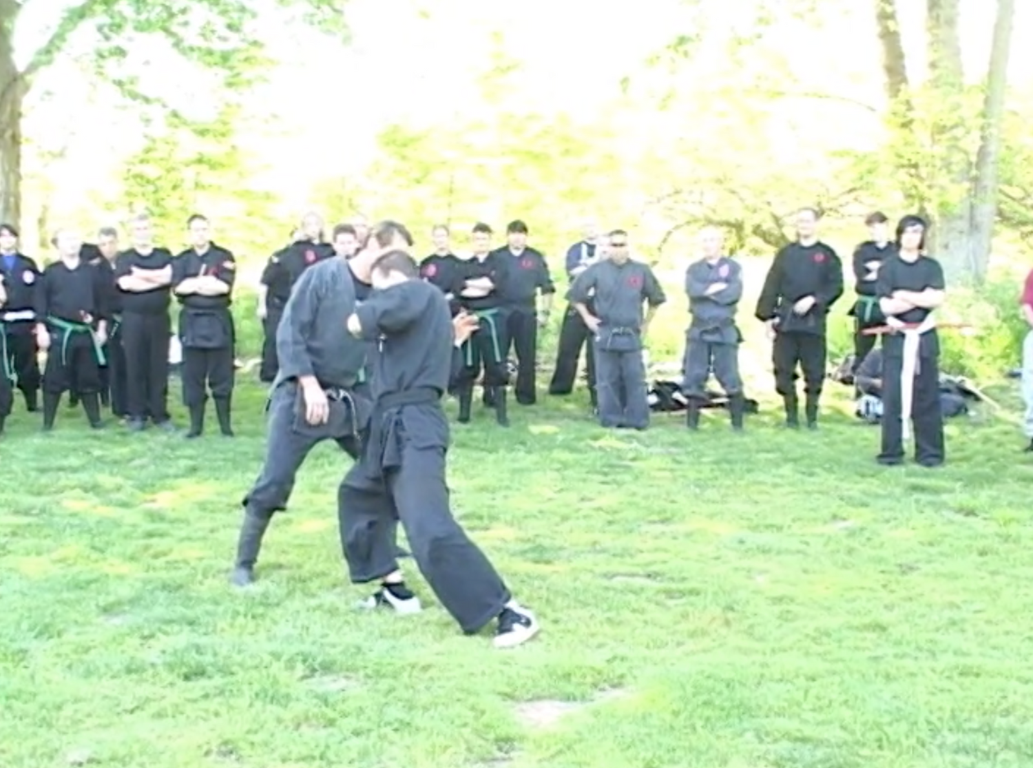 Kyoketsu Shoge DVD by Richard Van Donk