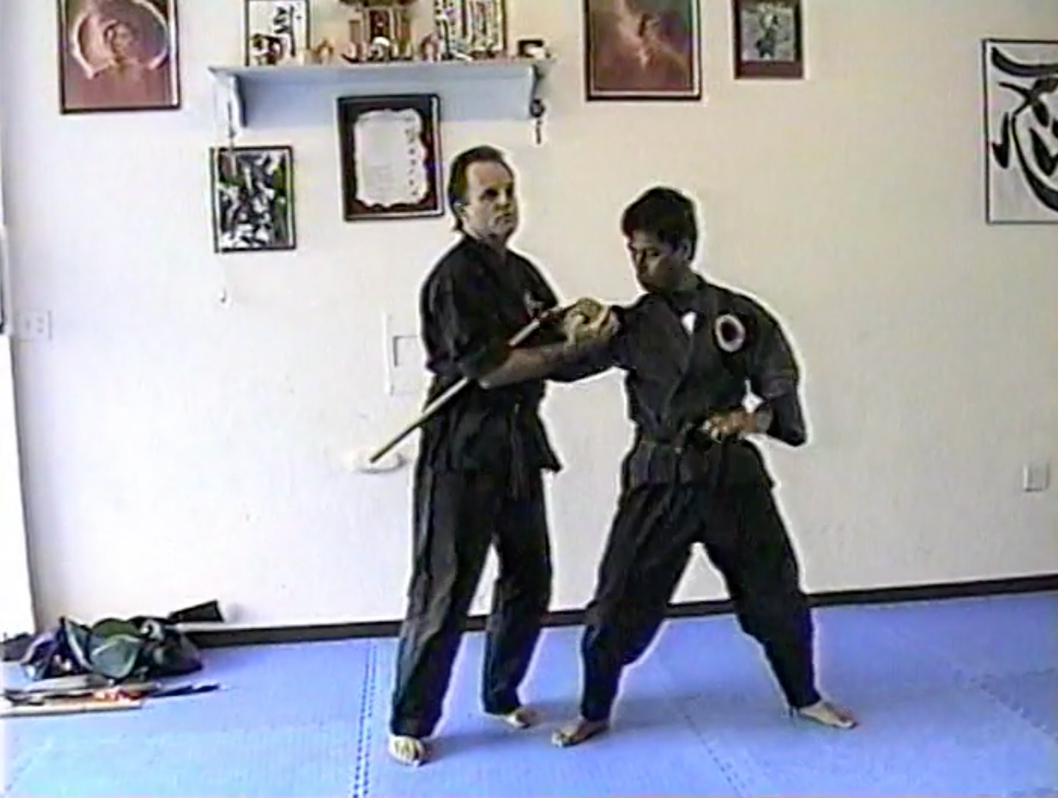 Disarming Guns, Knives & Sticks DVD by Richard Van Donk