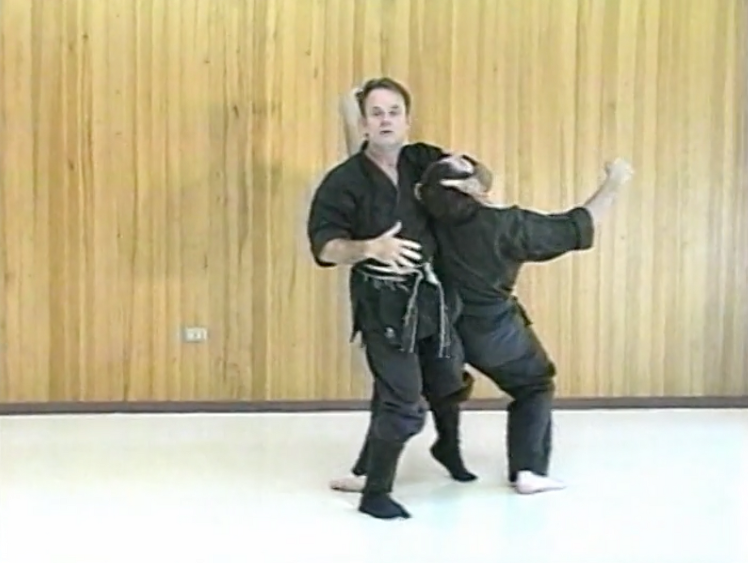 Combat Ninjutsu DVD by Richard Van Donk