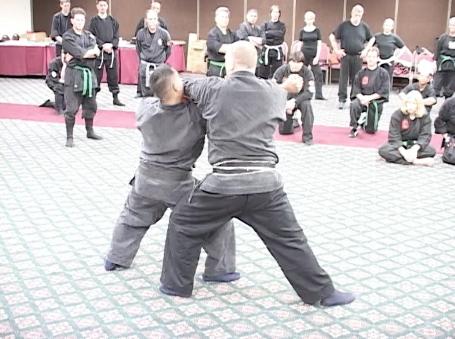 Warrior Taijutsu Secrets DVD by Richard Van Donk