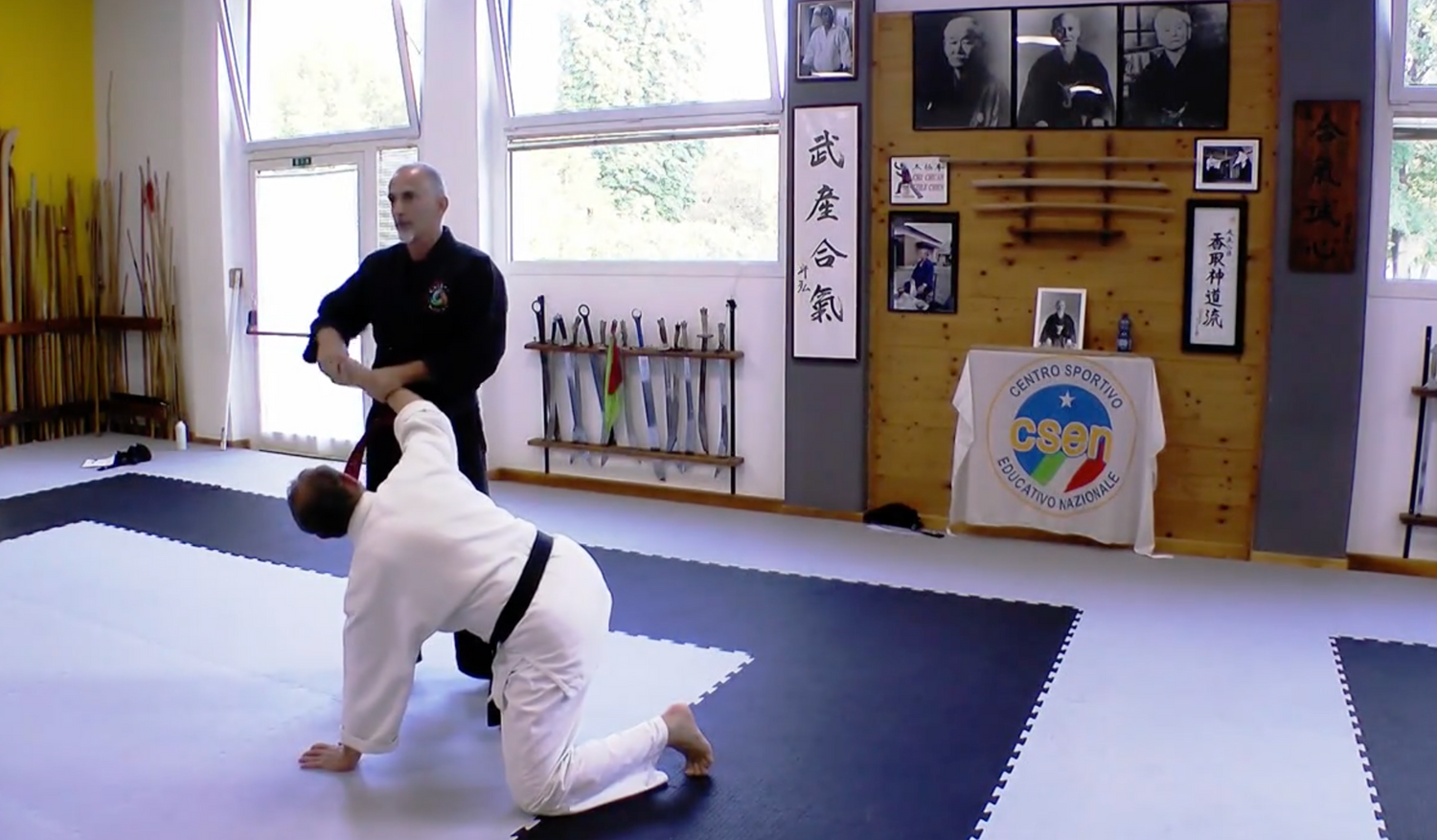 Become a Kyusho Instructor Vol 2 Gianluca Frisan (On Demand)