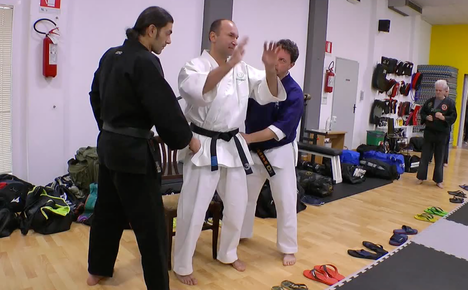 Become a Kyusho Instructor Vol 2 Gianluca Frisan (On Demand)