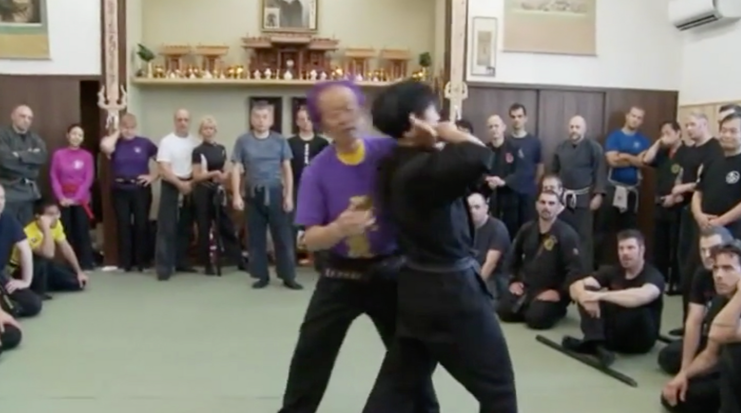 Arnaud Cousergue 15th Dan Bujinkan Interview (On Demand)