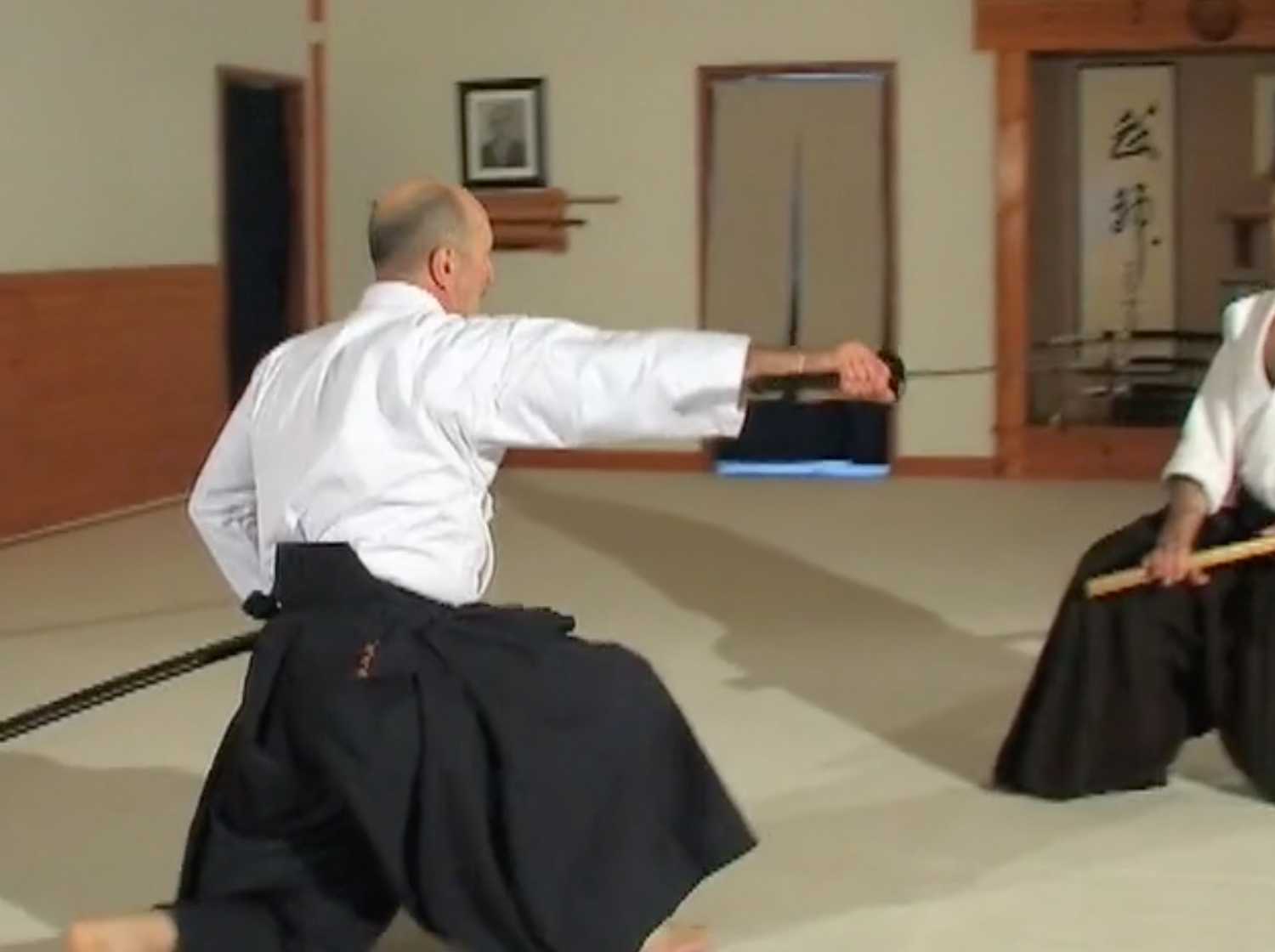 Complete Introduction to Muso Shinden Ryu Iaido DVD with Didier Boyet