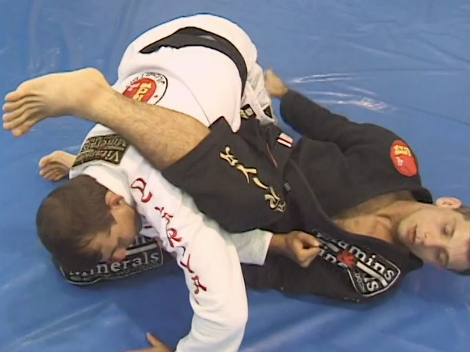 The Best of Jiu-Jitsu DVD by Ricardo De la Riva (Preowned)