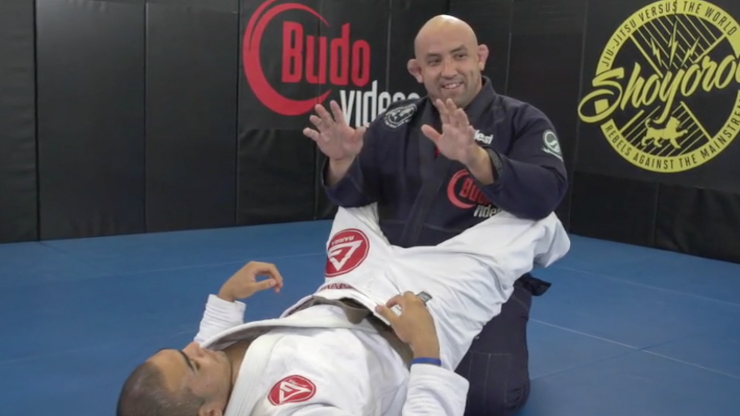 Aggressive Attacks & Passes DVD by Orlando Sanchez