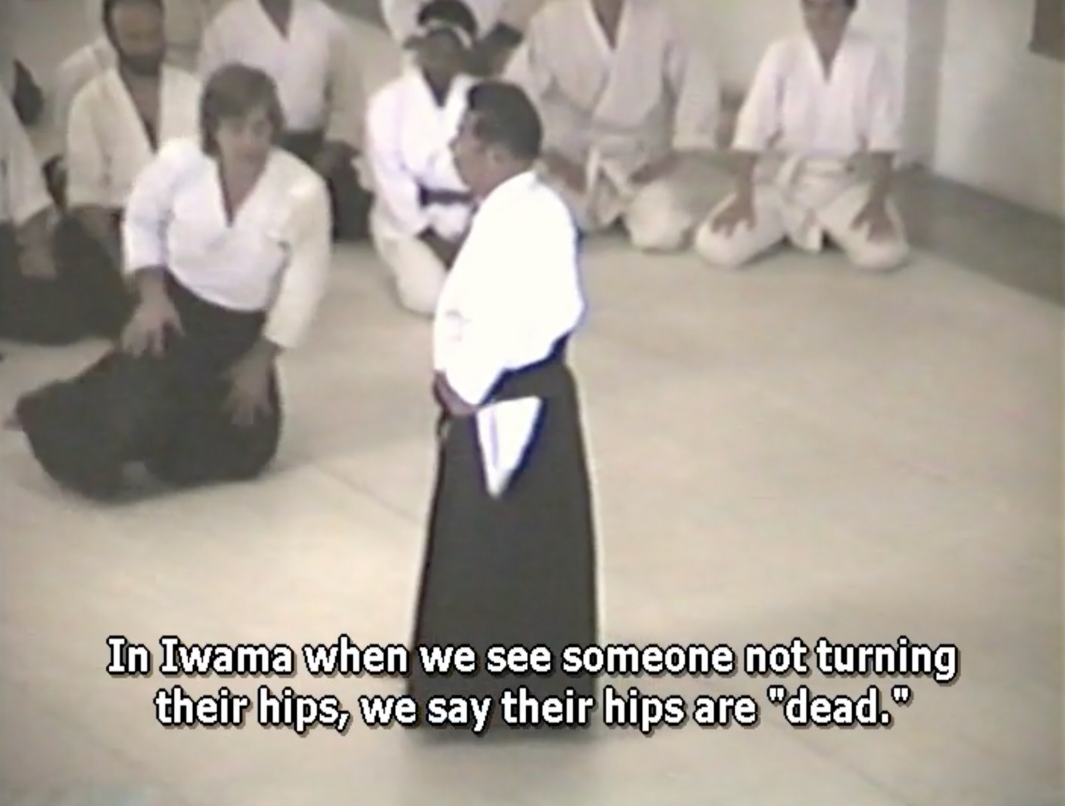 Lost Seminars 5: San Diego 1991 by Morihiro Saito (On Demand)