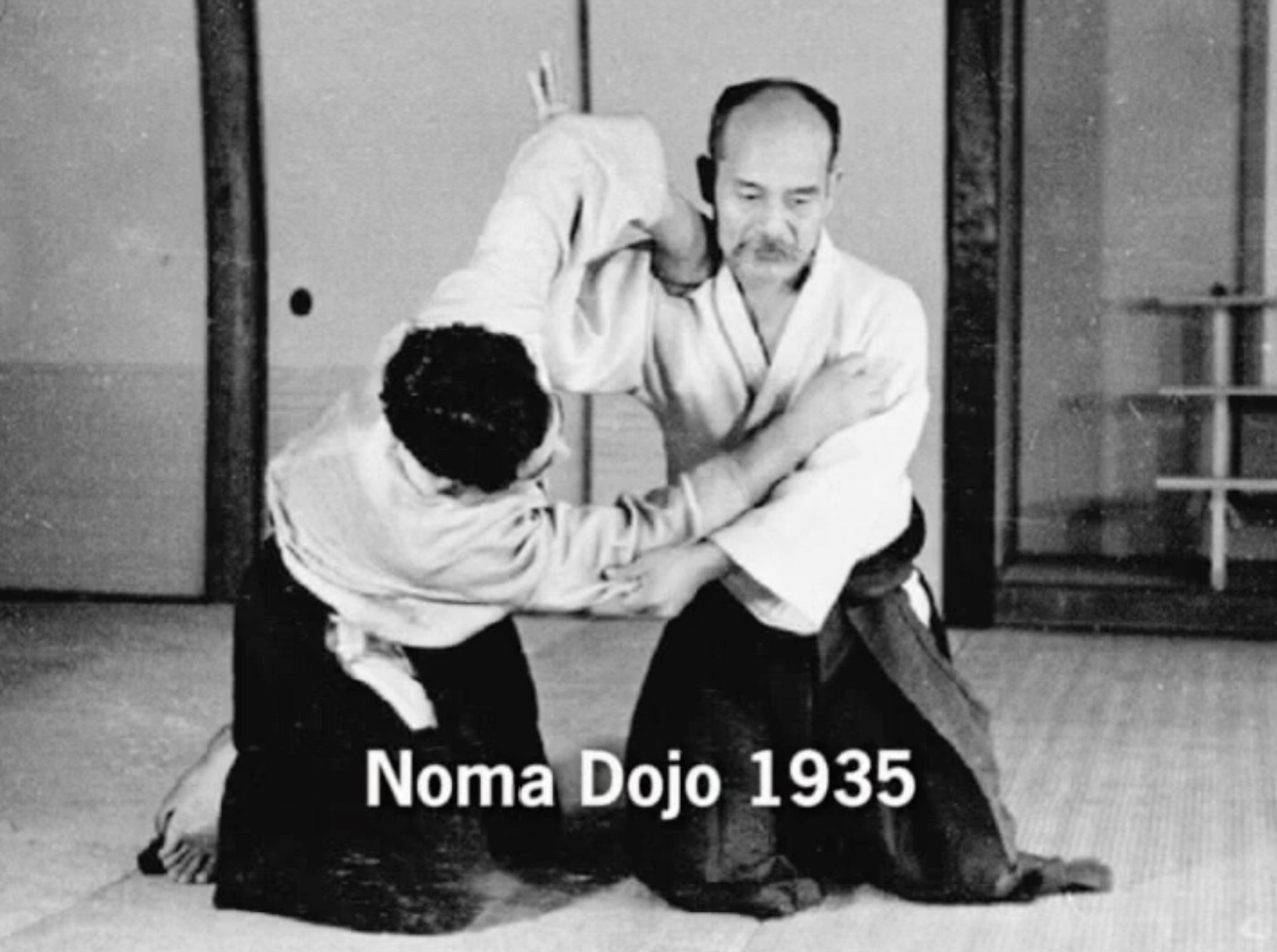 Budo DVD by Morihiro Saito