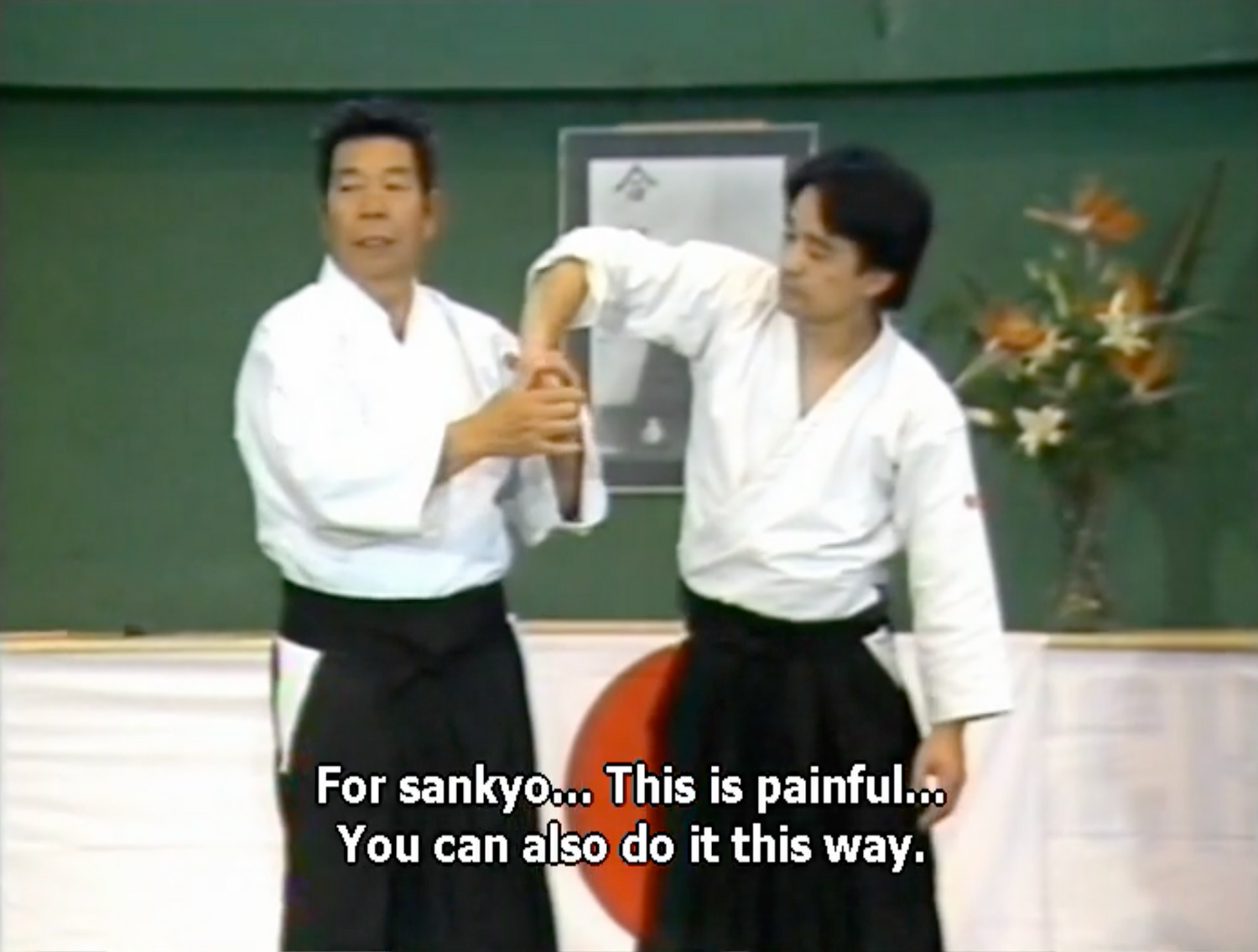 The Lost Seminars DVD 2: Italy 1985 by Morihiro Saito