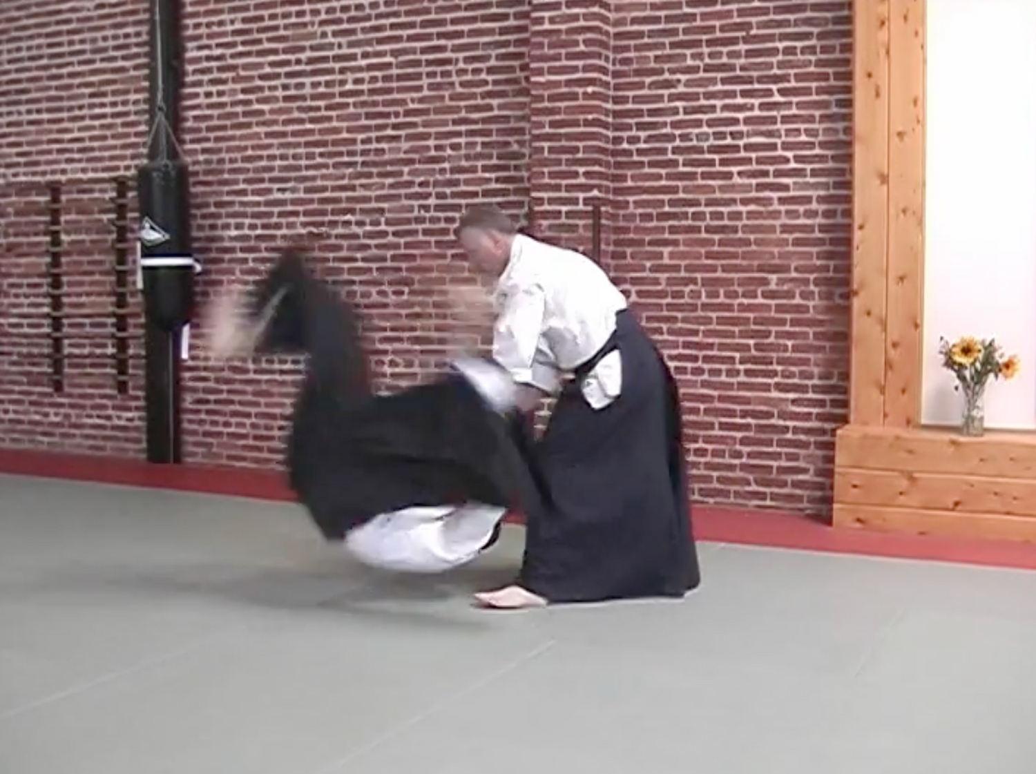 San Francisco Aikido Project DVD