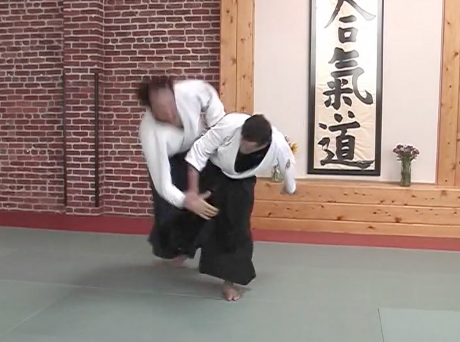 San Francisco Aikido Project DVD