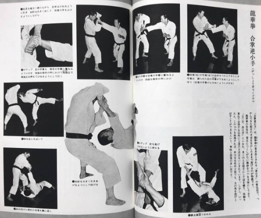 Shorinji Kempo World Book (Preowned)