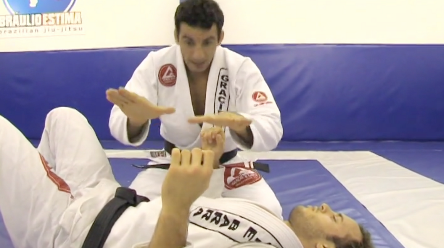 Invisible Jiu Jitsu: Side Control DVD by Braulio Estima (Preowned)