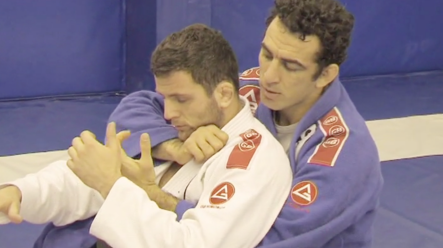 Invisible Jiu Jitsu: Attack Positions DVD by Braulio Estima (Preowned)