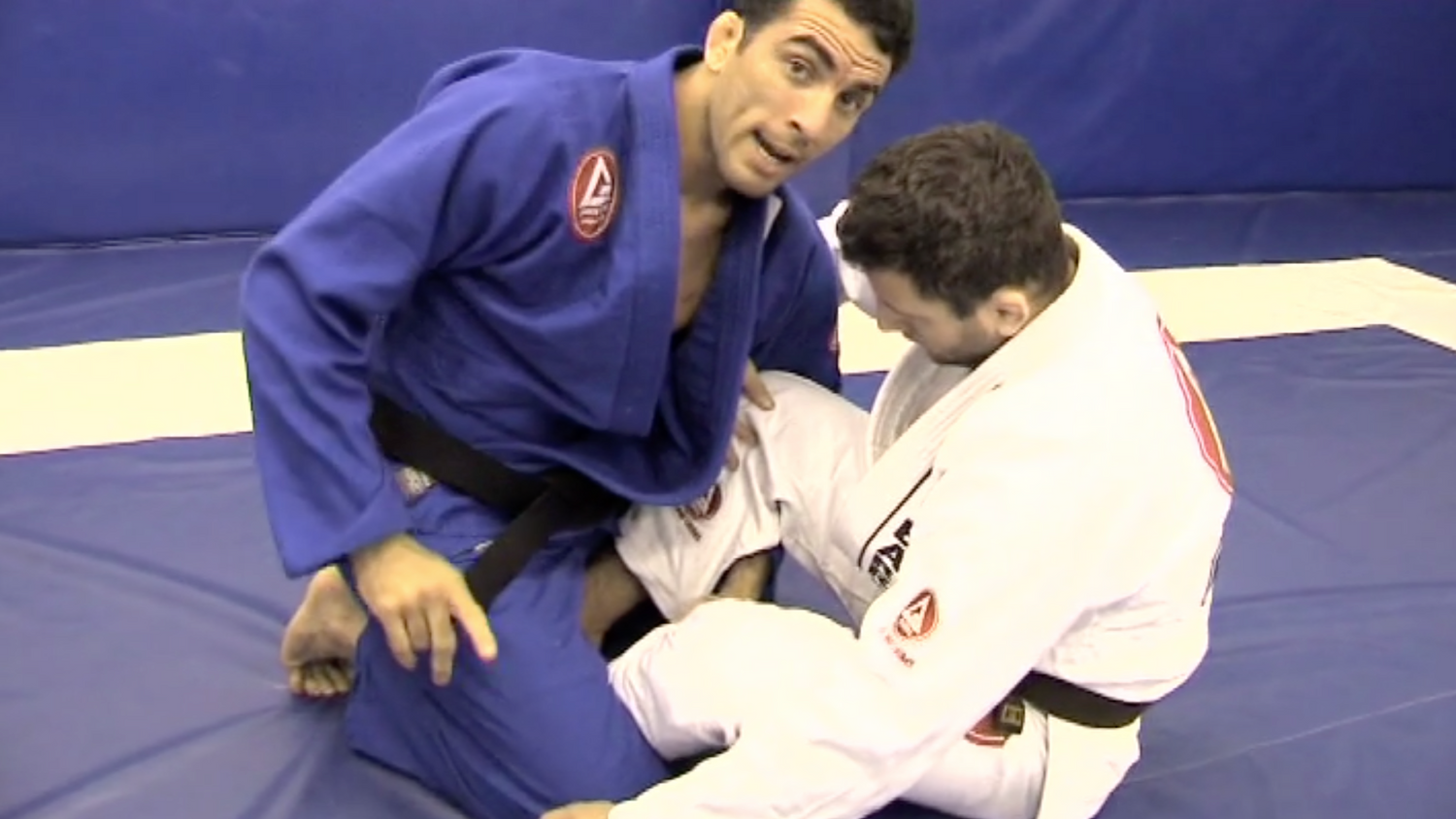 Invisible Jiu Jitsu: Butterfly Guard DVD by Braulio Estima (Preowned)