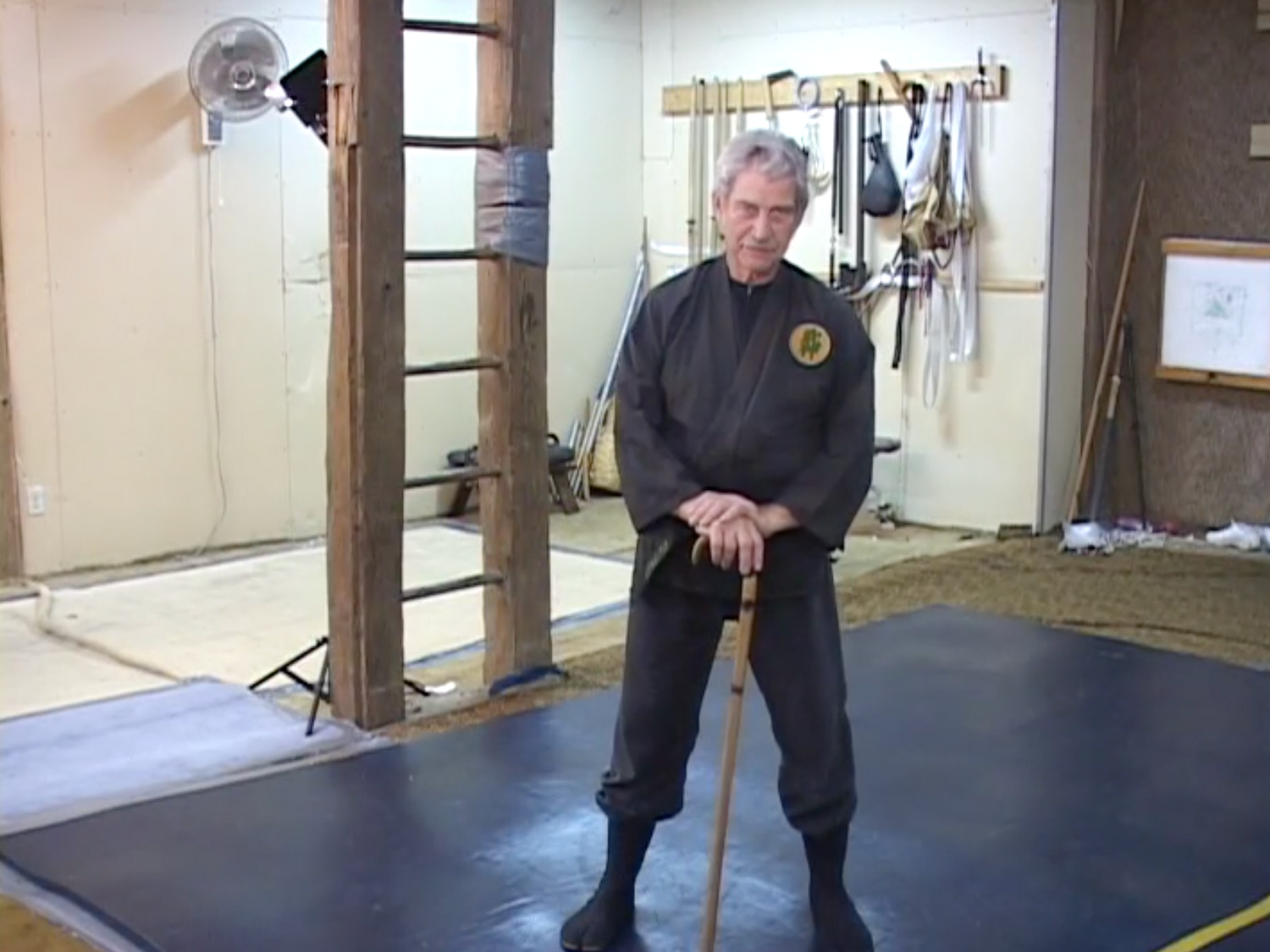 Ojii Jujitsu DVD by 15th Dan Ed Martin (Preowned)