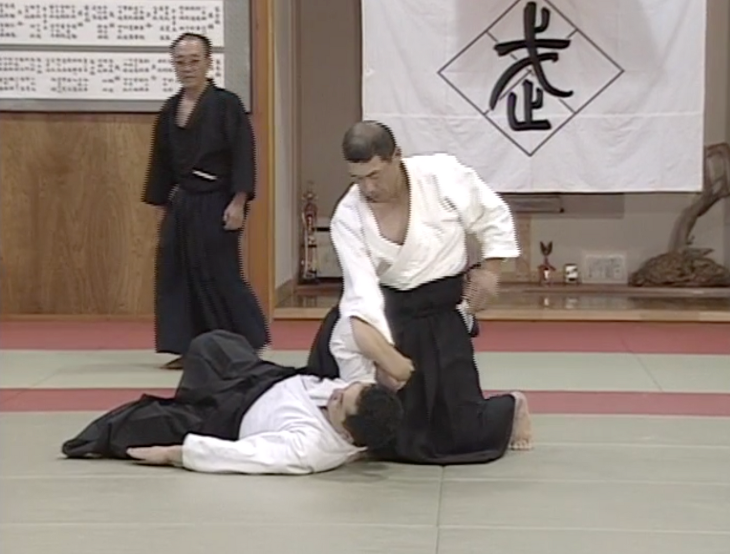 Daito Ryu Aikijujutsu: Ikkajo Ura Techniques DVD 2