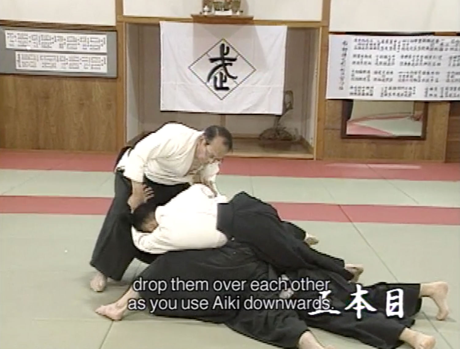 Daito Ryu Aikijujutsu: Hiden Mokuroku DVD Vol 3