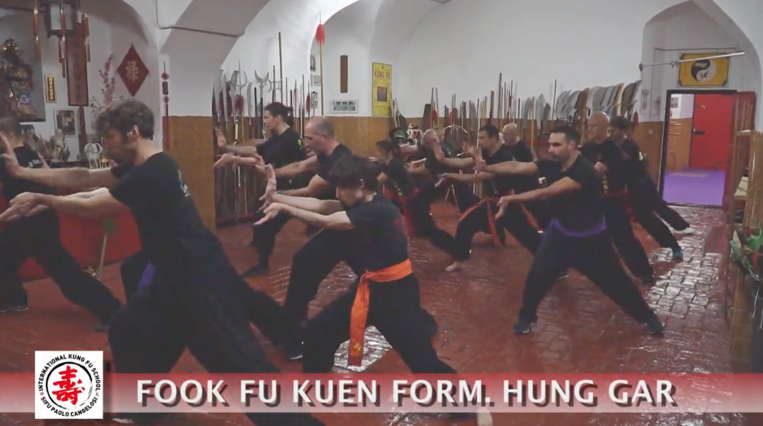 Chi Kung Hung Gar Loon Ying DVD with Paolo Cangelosi