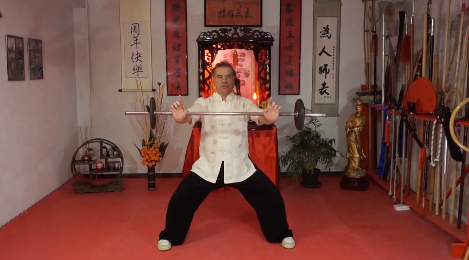 Chi Kung Hung Gar Loon Ying with Paolo Cangelosi (On Demand)