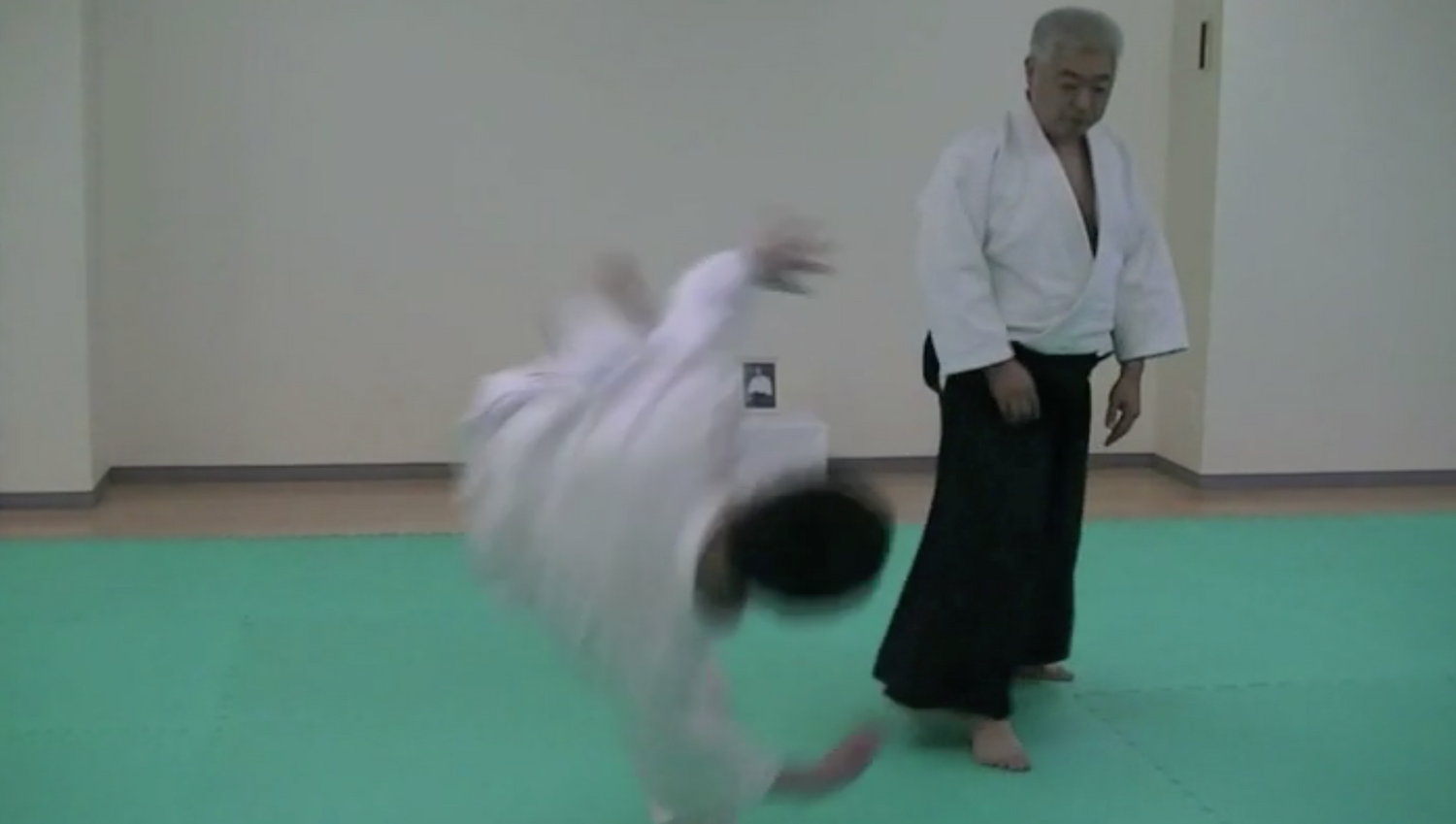 Noh & Aikido Digest DVD by Ryusei Saegusa (Preowned)