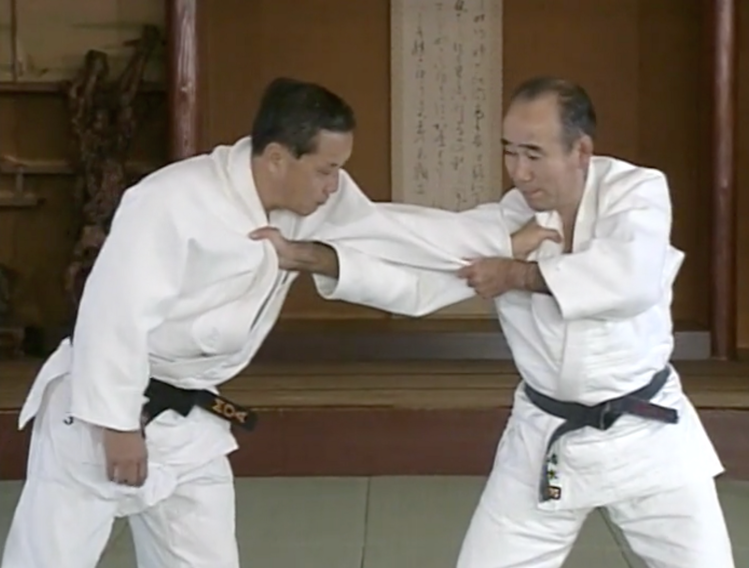 高専柔道 Vol.2 DVD 平田佳苗