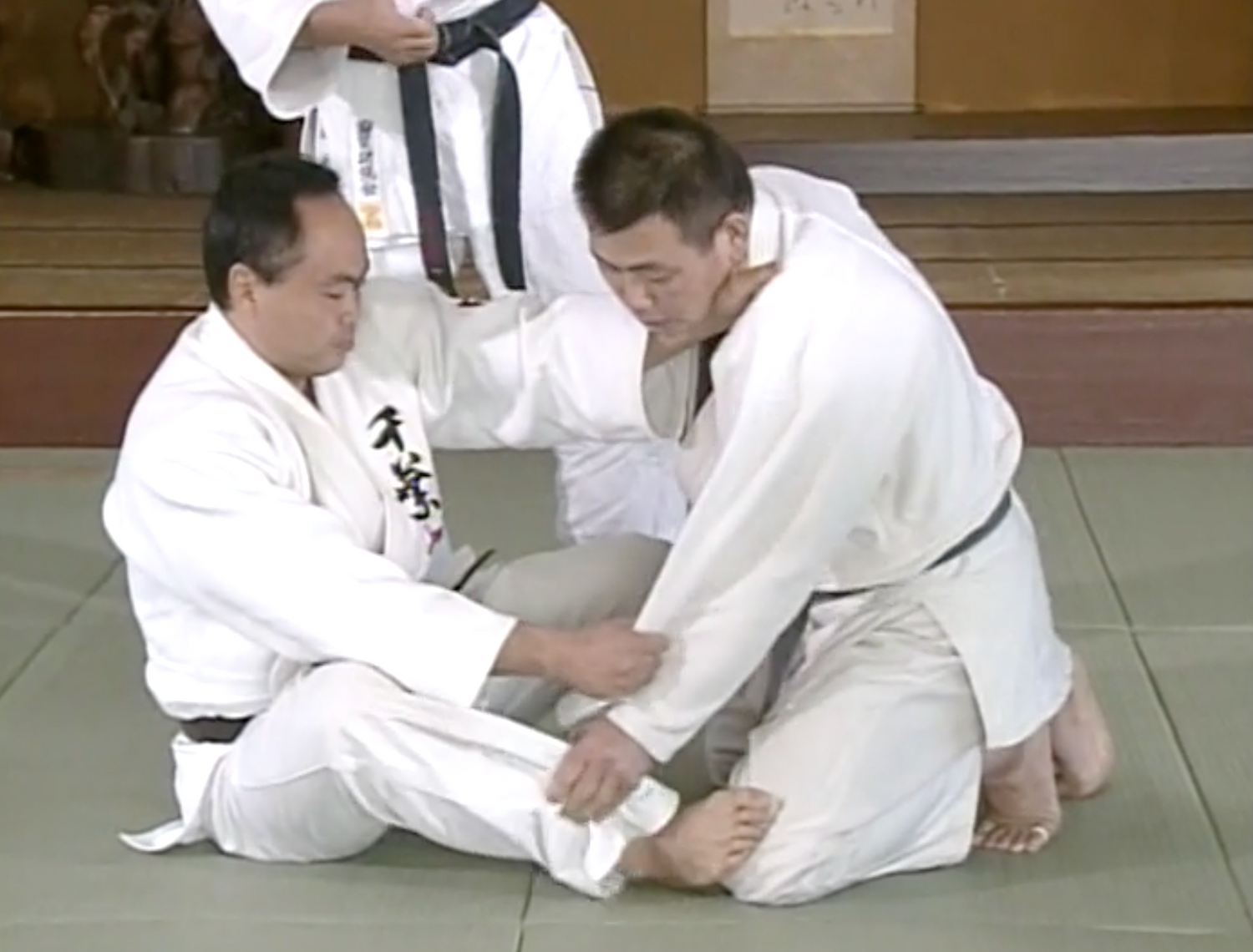 高専柔道 Vol.2 DVD 平田佳苗