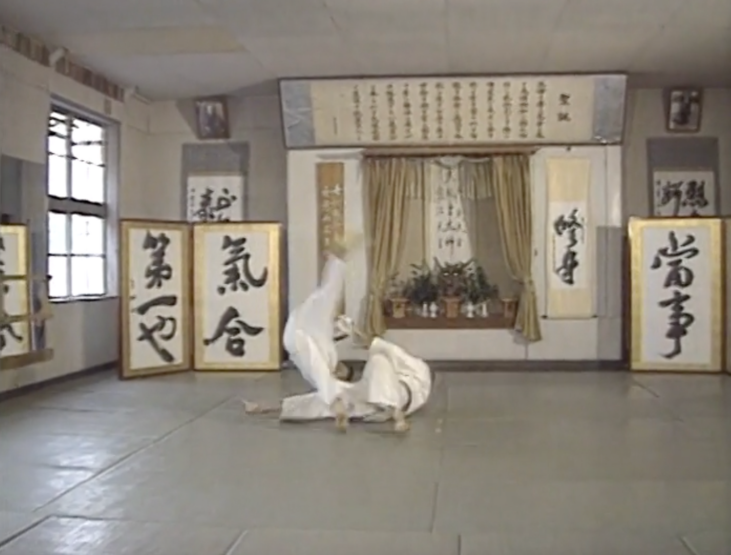 Yoseikan Sogo Budo by Minoru Mochizuki DVD 1