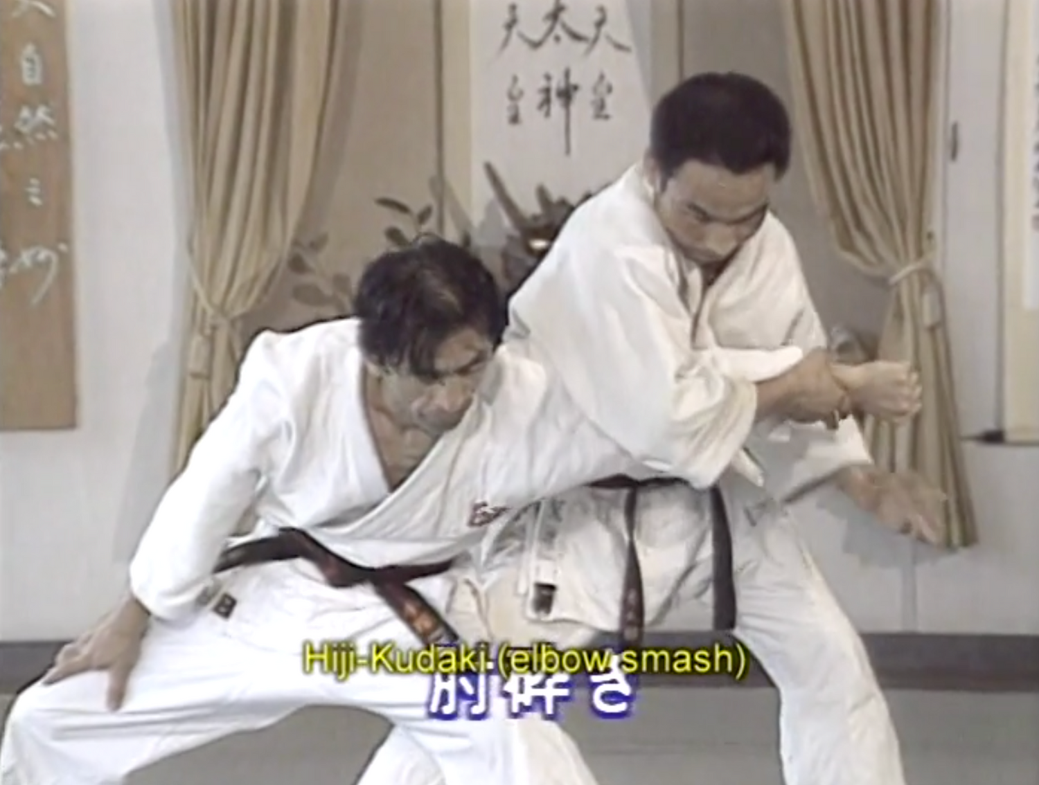 Yoseikan Sogo Budo by Minoru Mochizuki DVD 1