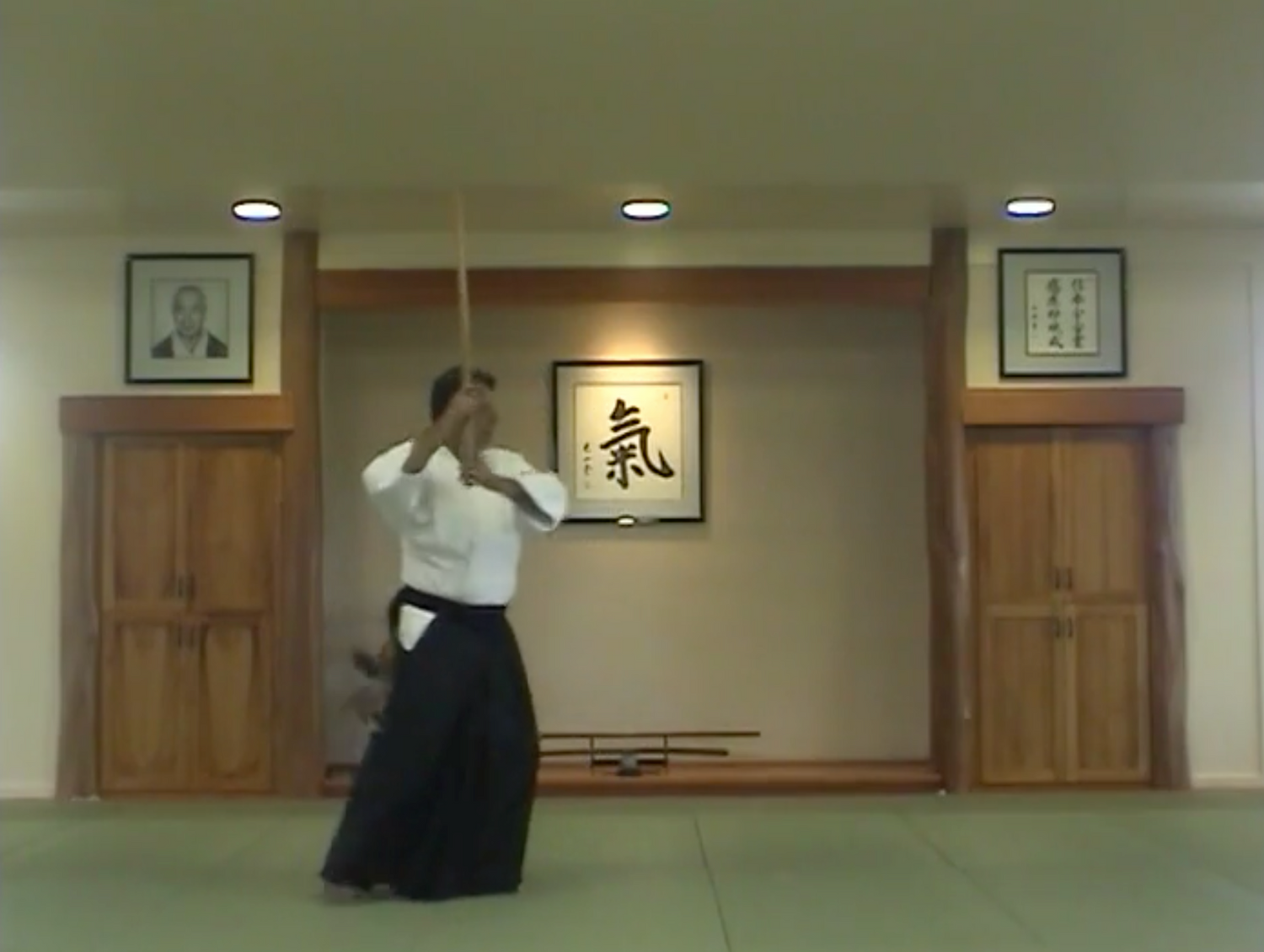 Training with Bokken DVD with Chris Curtis (Preowned)