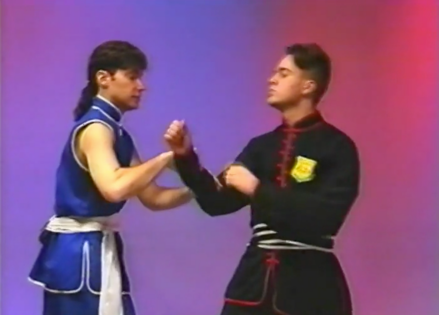 Wing Chun Kung Fu Fighting DVD 2 Strategies & Tactics by Todd Shawn Tei