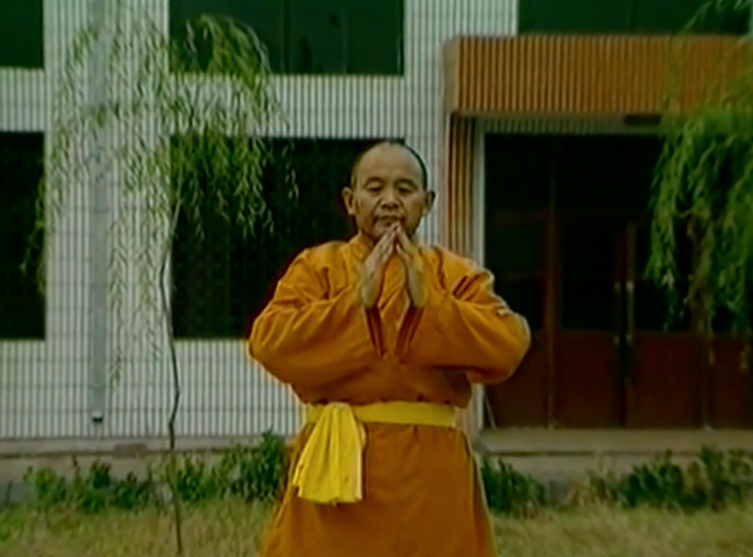 DVD clásico de cambio de tendón muscular Shaolin de Shi De Qian