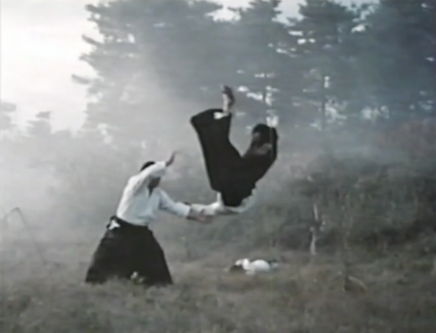 Clásicos del Aikido: DVD de los grandes de la posguerra (usado)