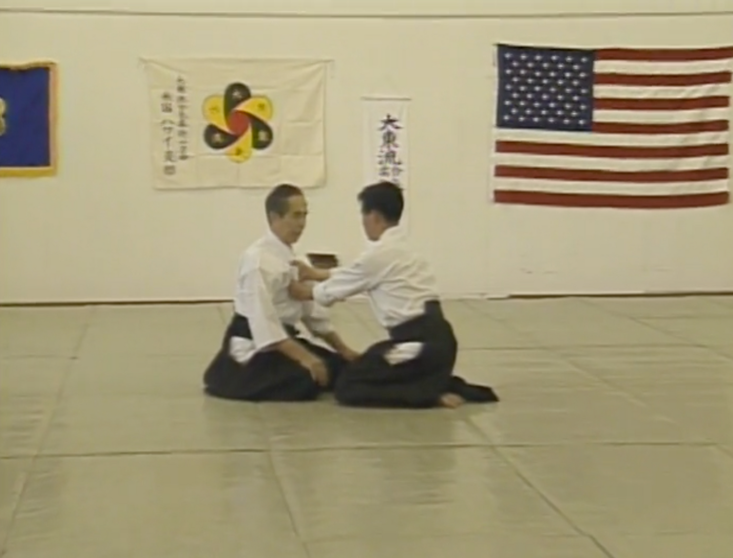 Seminario Daito Ryu Roppokai Hawaii Vol 1 DVD