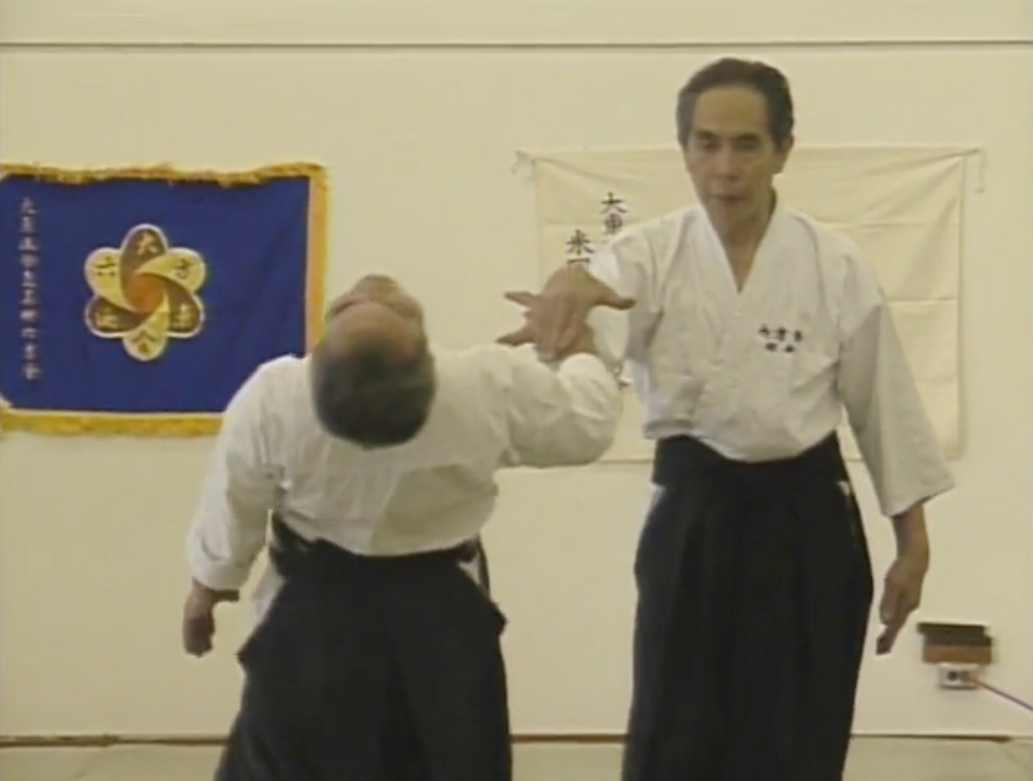 Seminario Daito Ryu Roppokai Hawaii Vol 1 DVD