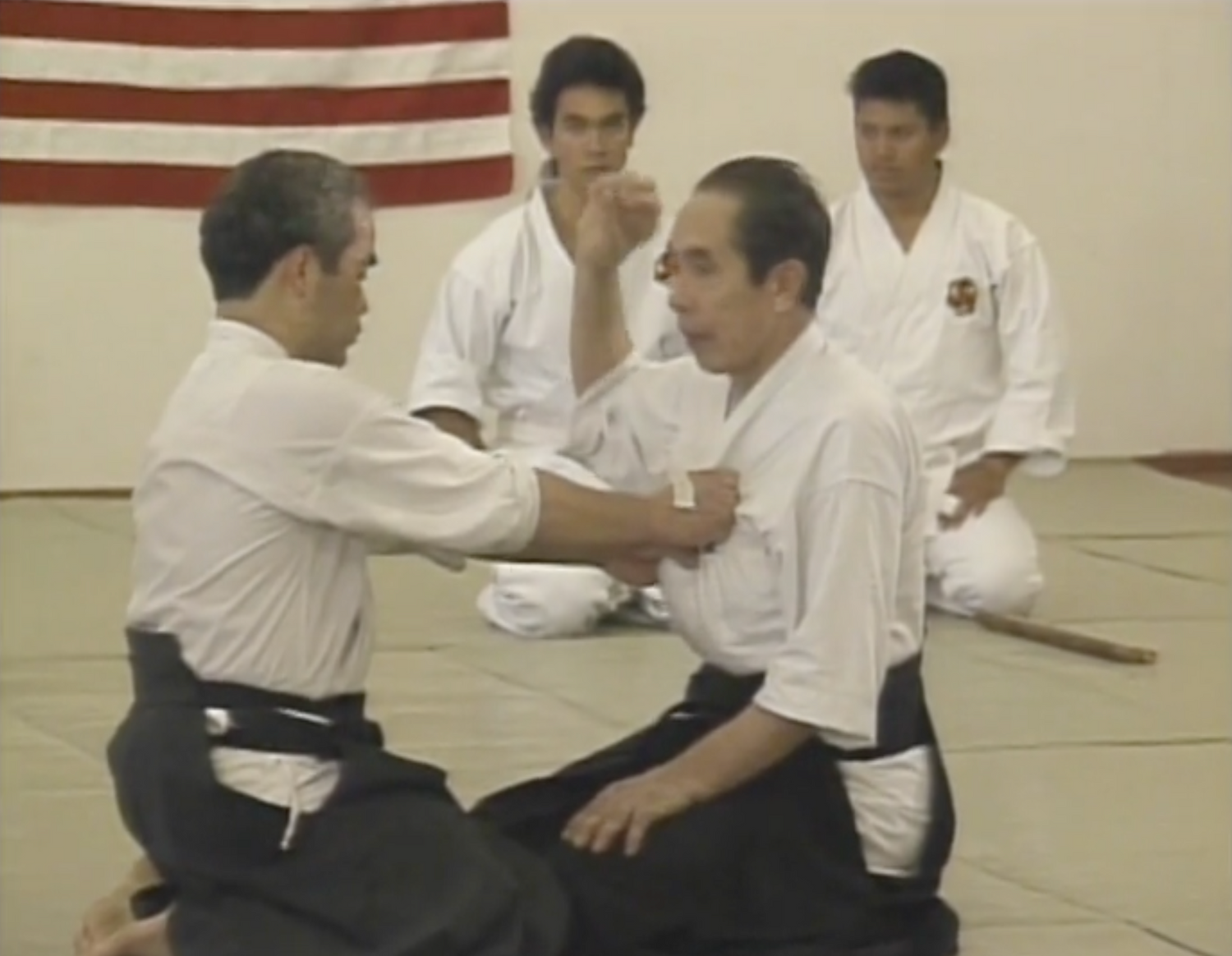 Seminario Daito Ryu Roppokai Hawaii Vol 2 DVD