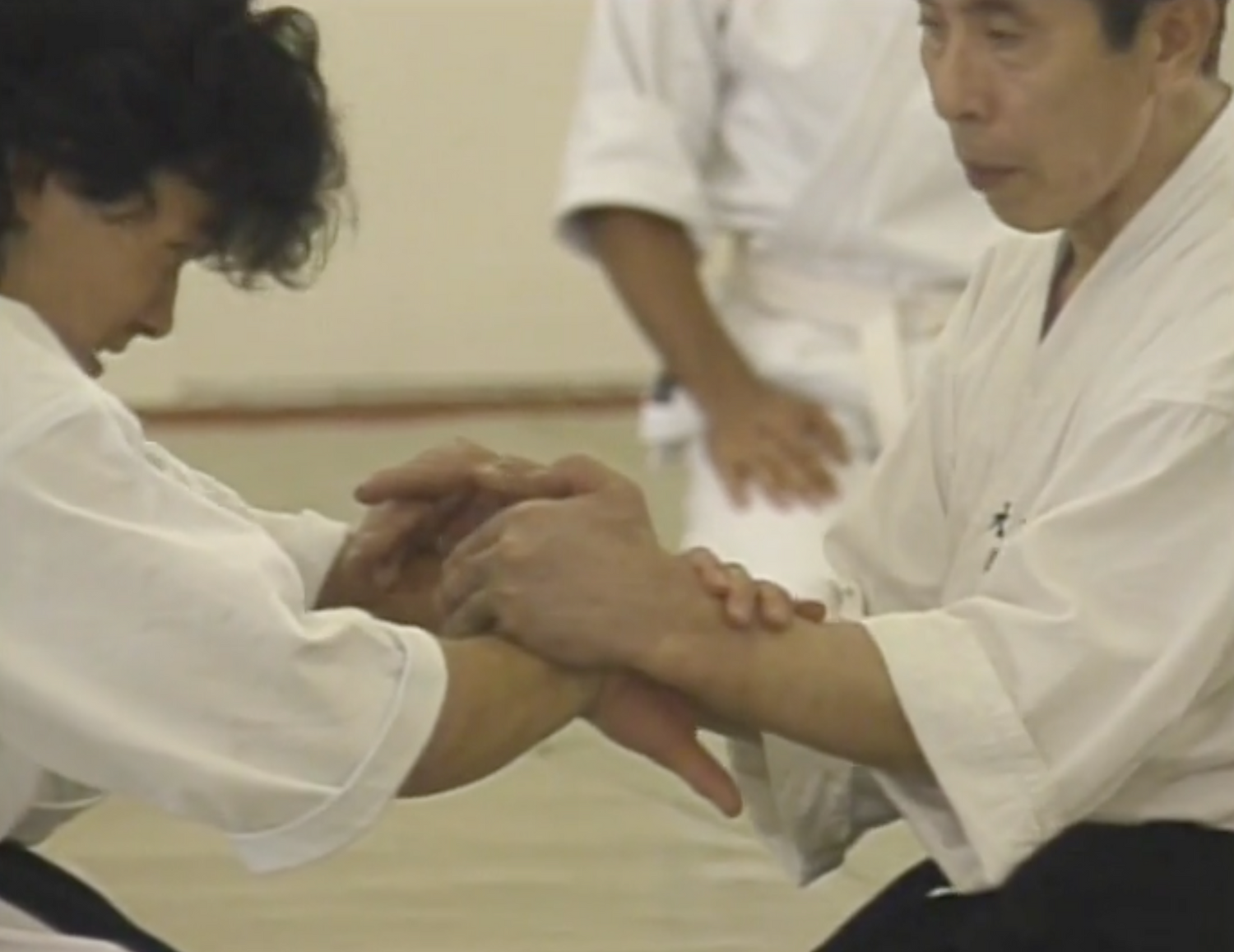 Seminario Daito Ryu Roppokai Hawaii Vol 2 DVD