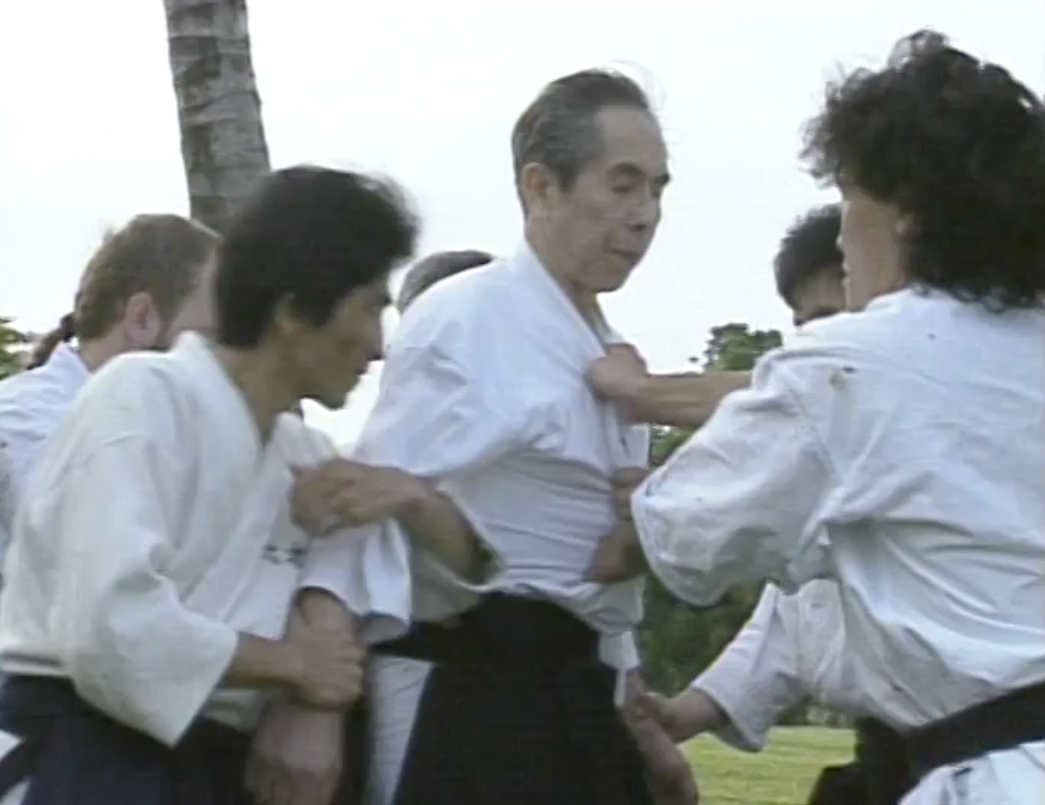 Seminario Daito Ryu Roppokai Hawaii Vol 2 DVD