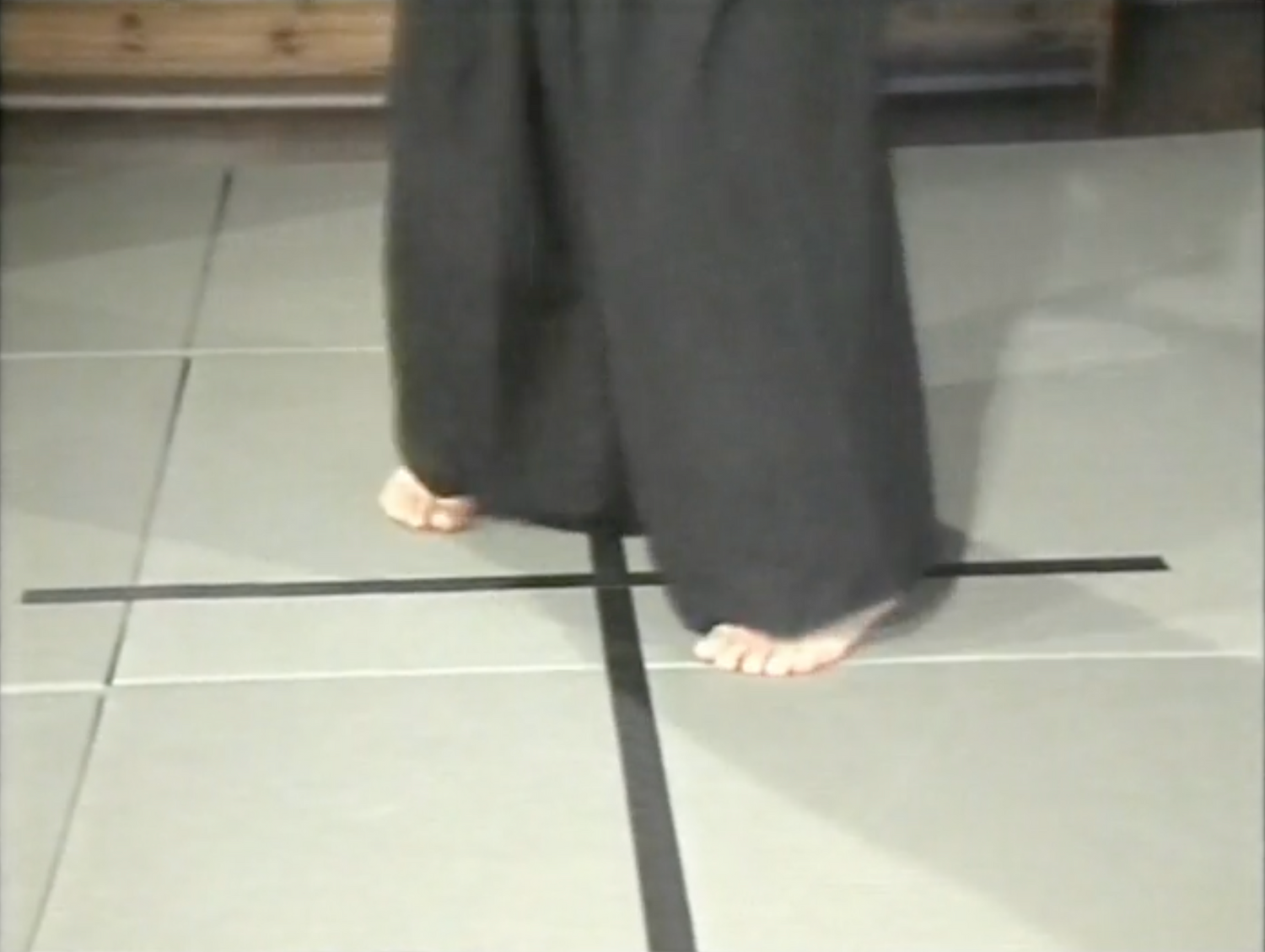 Aiki Jo w Bonus Features by Morihiro Saito (On Demand)