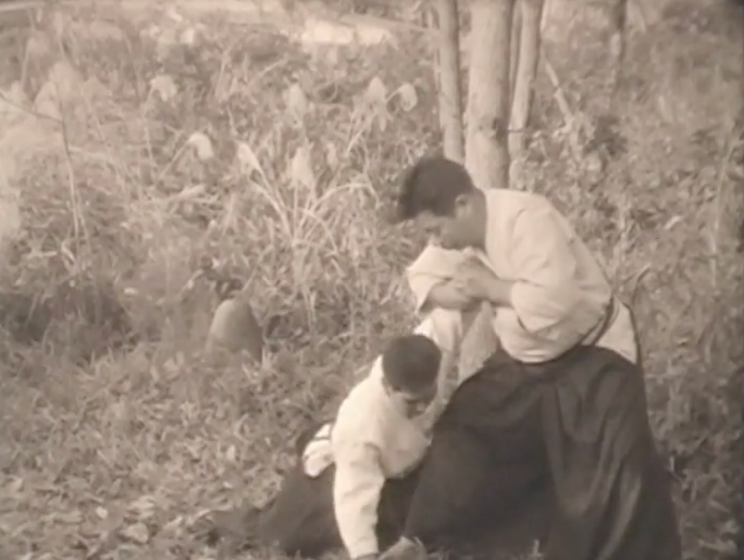 Aiki Jo DVD w Bonus Features by Morihiro Saito