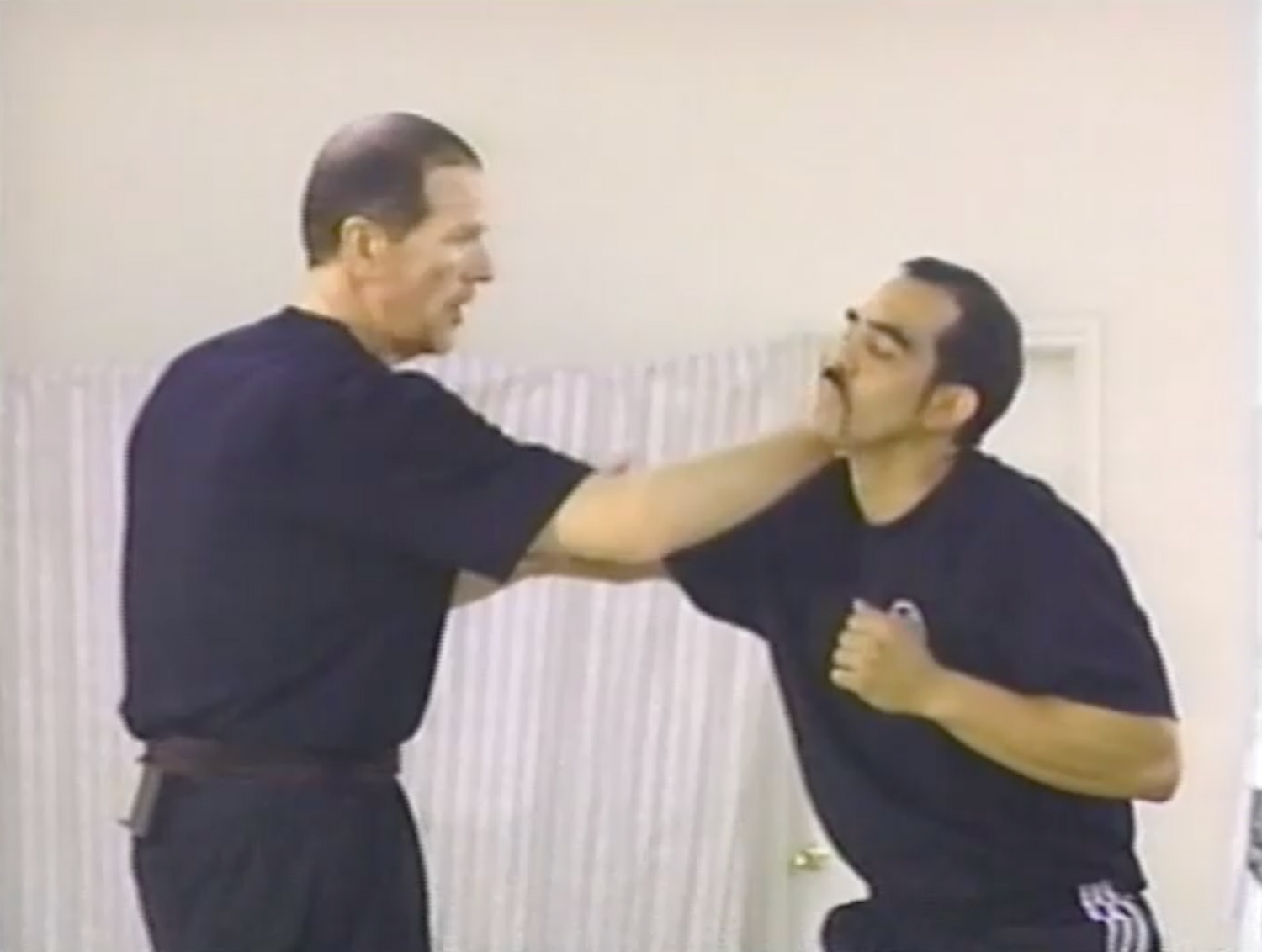 Combat Wing Chun 4 Vol Series by Alan Lamb (On Demand)