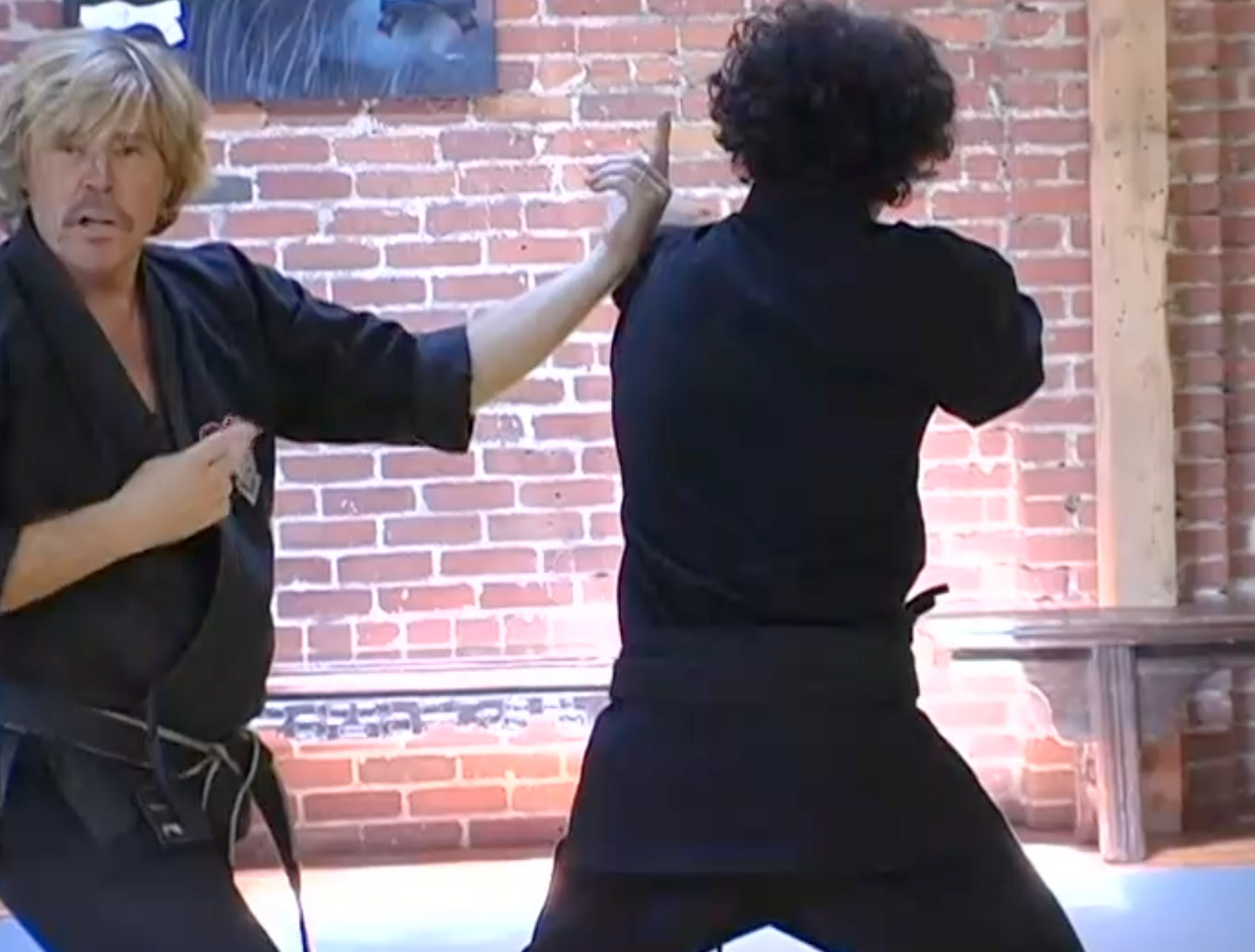 Dynamic Kenpo Lines & Circles DVD with Larry Tatum
