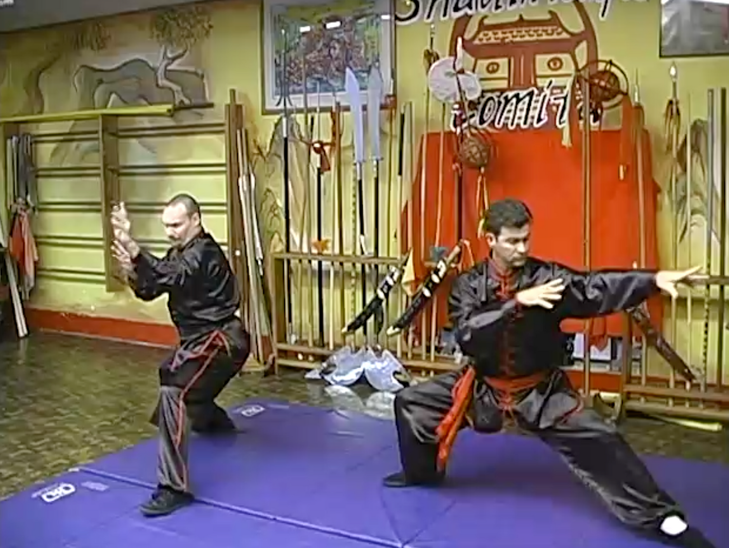 Combat Tai Mantis DVD by Manuel Marquez