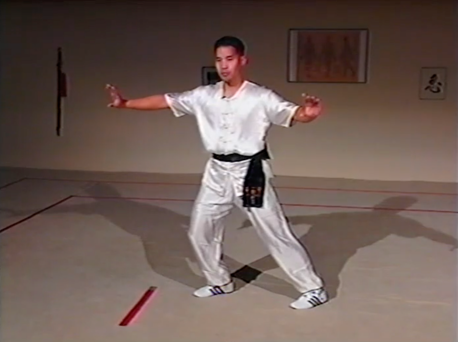Combat Tai Chi 6 Vol Series by Mark Cheng (On Demand)