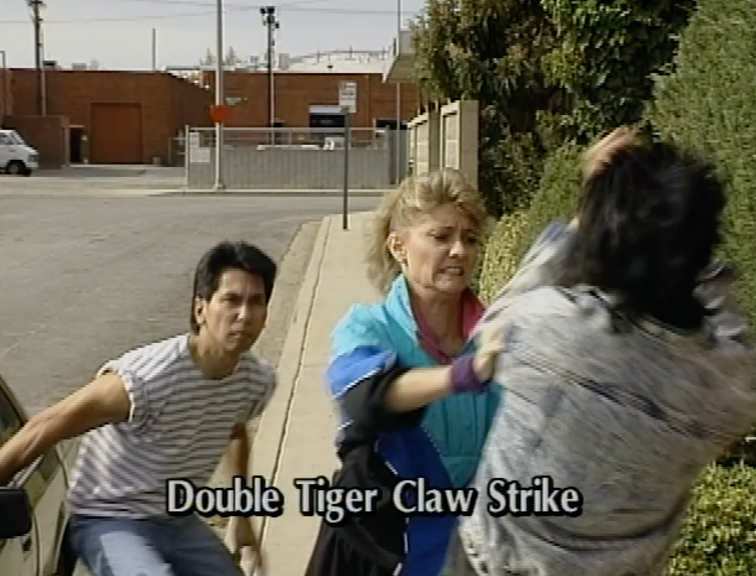 Hung Gar Kung Fu Tempting Tiger with Vernon Rieta (On Demand)