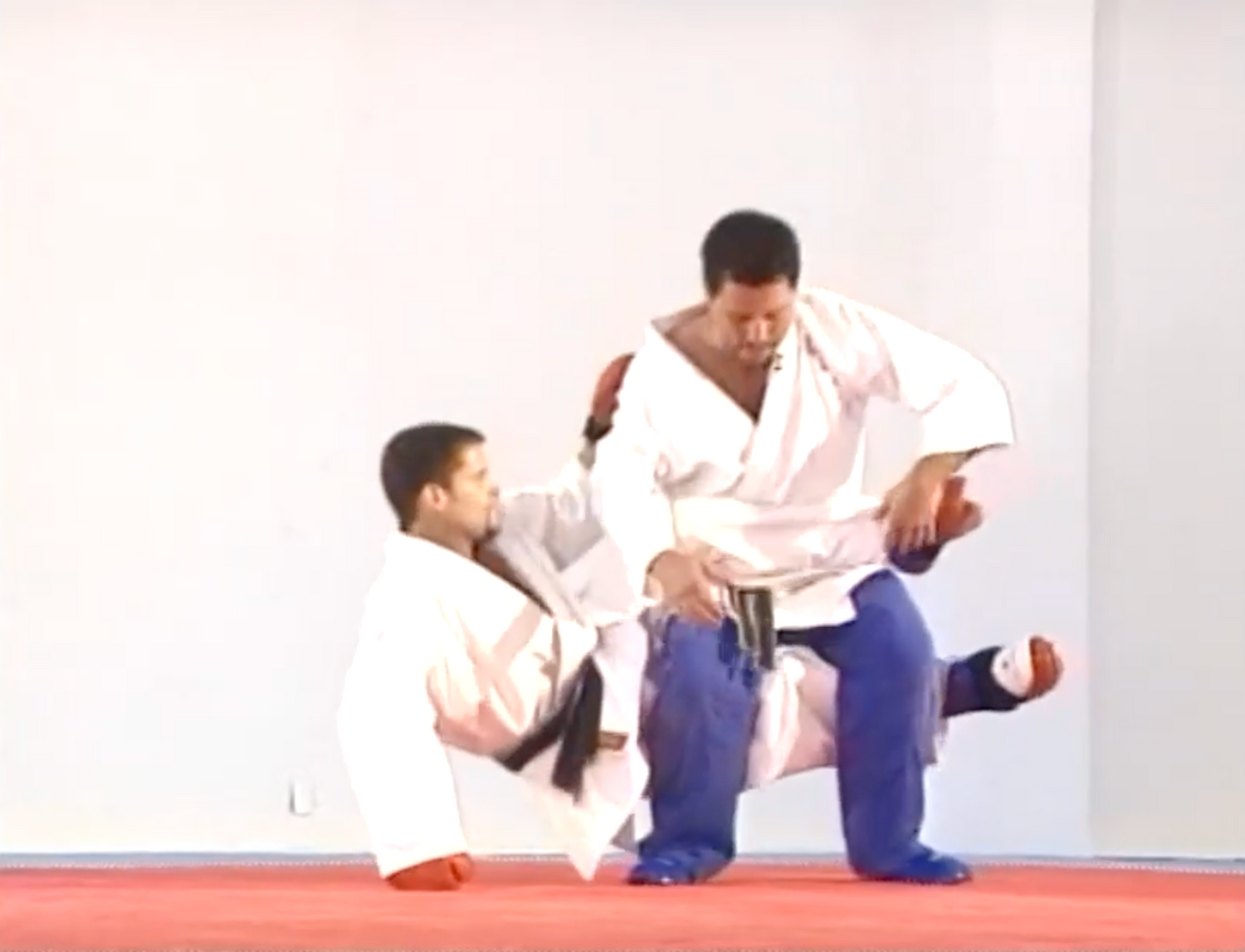 Sport Jujitsu for the Ring & Street by Ernie Boggs (On Demand)